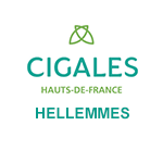 Les Cigales - Hauts-de-France - Hellemmes